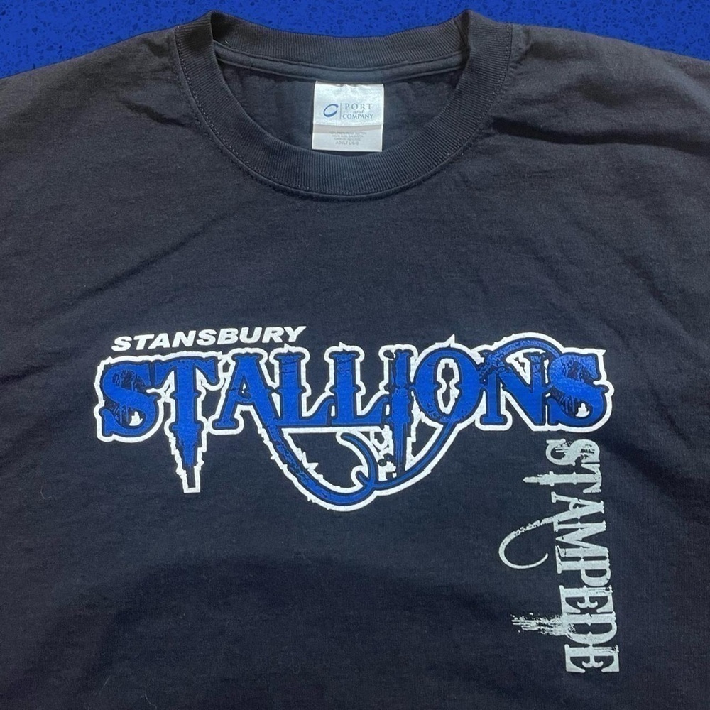 Utah Stallions men’s tourist t shirt - Picture 2 of 5